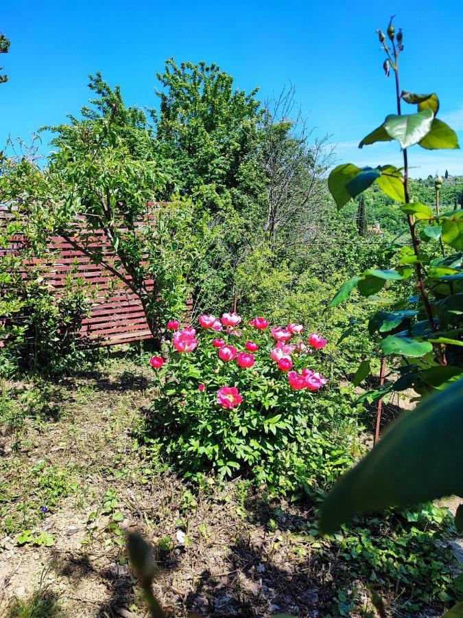 Salara Farmhouse Koper Exterior photo